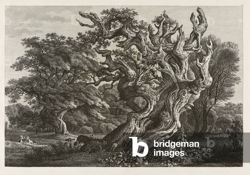 "Fantastische große Eiche mit Storchennest (Radierung)" von Carl Wilhelm Kolbe, b/w