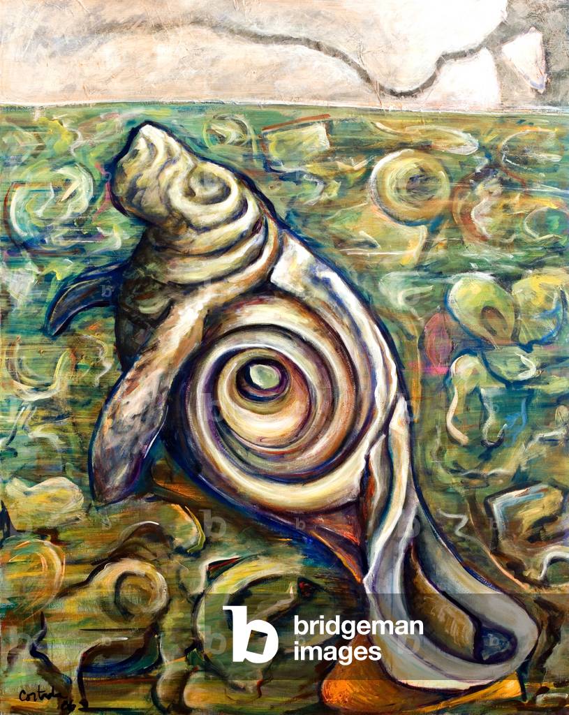 Fiume Manatee, 2006