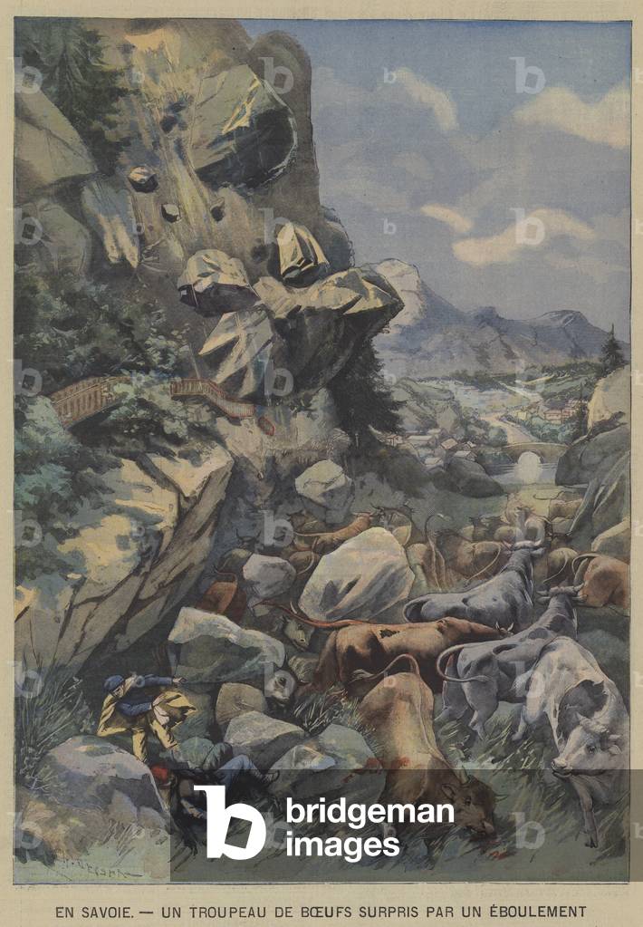 A herd of cattle surprised by a landslide in the French Alps (colour litho) by French Artist