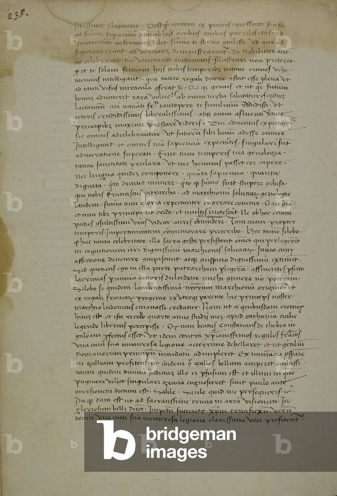 Image of Sheet