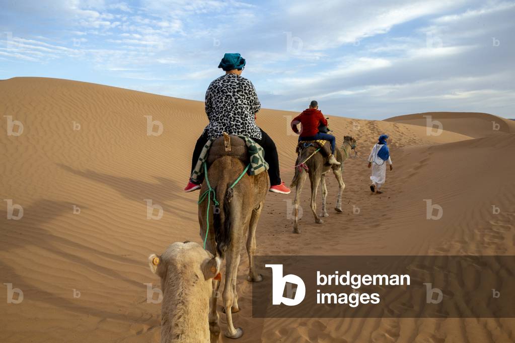 Dromedary trekking nel Marocco orientale (foto)