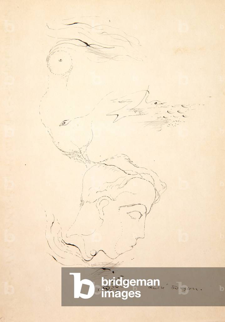 Bild von Zeichnung "Automatisches Porträt von Robert Desnos", c.1925 von André Masson, b/w