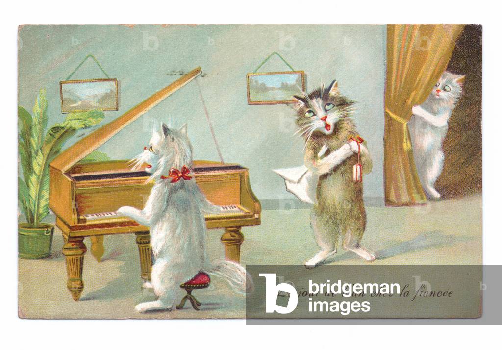 Carte postale édouardienne d'un chat jouant du piano et de l'autre chantant tandis qu'un troisième est en trai