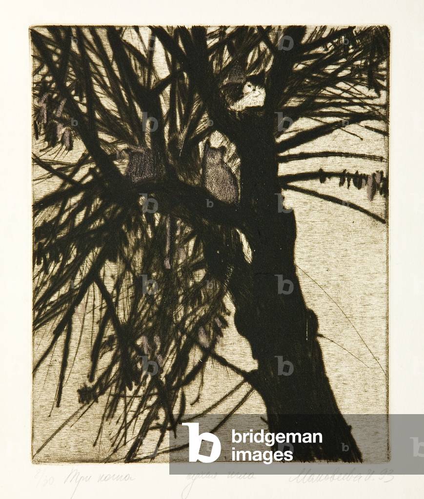 Three Cats, 1993 (Trockenpunkt)