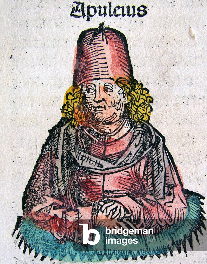 Immagine di Libro "Germania: La cronaca di Norimberga" 1401