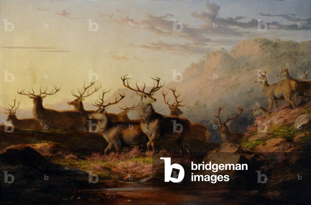 Bild von Gemälde "Hirsche auf dem Hochland (öl auf leinwand)" von James Giles