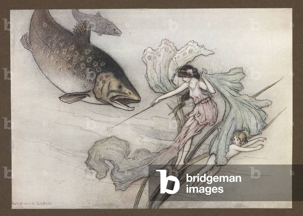 “Von dem große Forelle auf Tom rausgeeilt.”