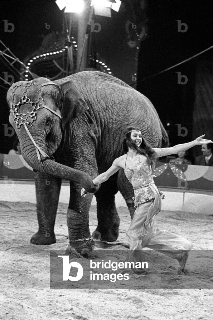 Actress Renate Blume (GDR) on the occasion of the television show - Night of Celebrities - in..., 1976 (photo)