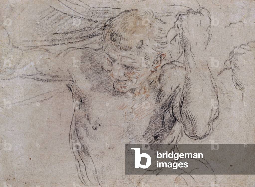 Un Satiro Lifting Drapery, e un Studio sussidiario della sua mano sinistra (recto), c. 1620 (nero (recto), ros
