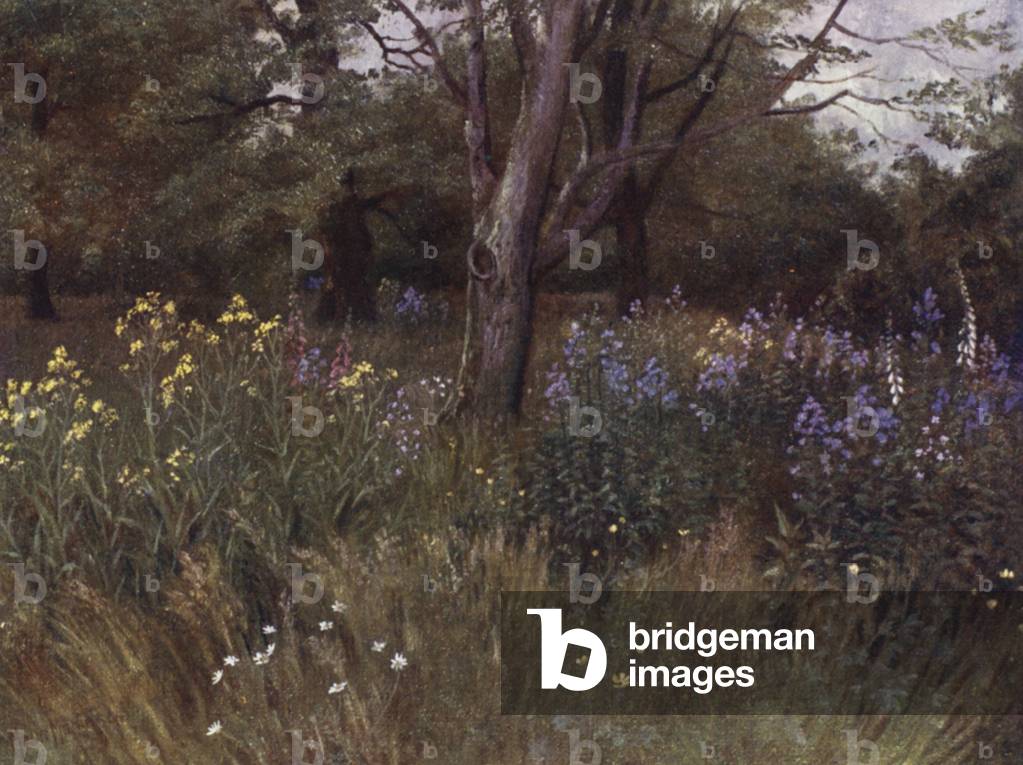 Kew Gardens: Fiori Selvatici nei boschi di faggio (colore lito)