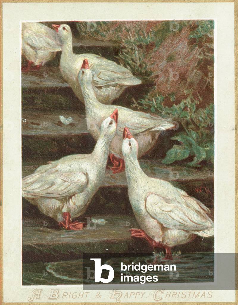 Cinque oche in piedi su gradini, Biglietto di Natale (cromolito)