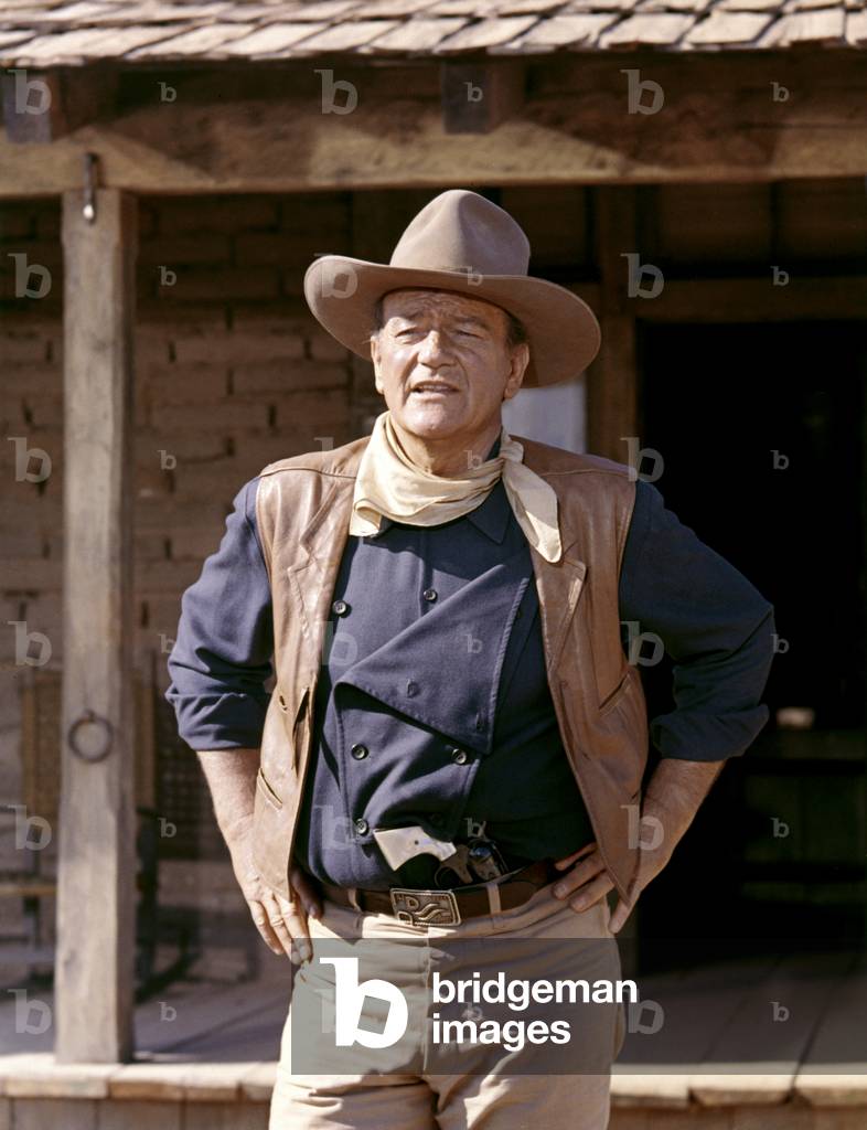 I figli di Katie Elder di Henry Hathaway, 1965