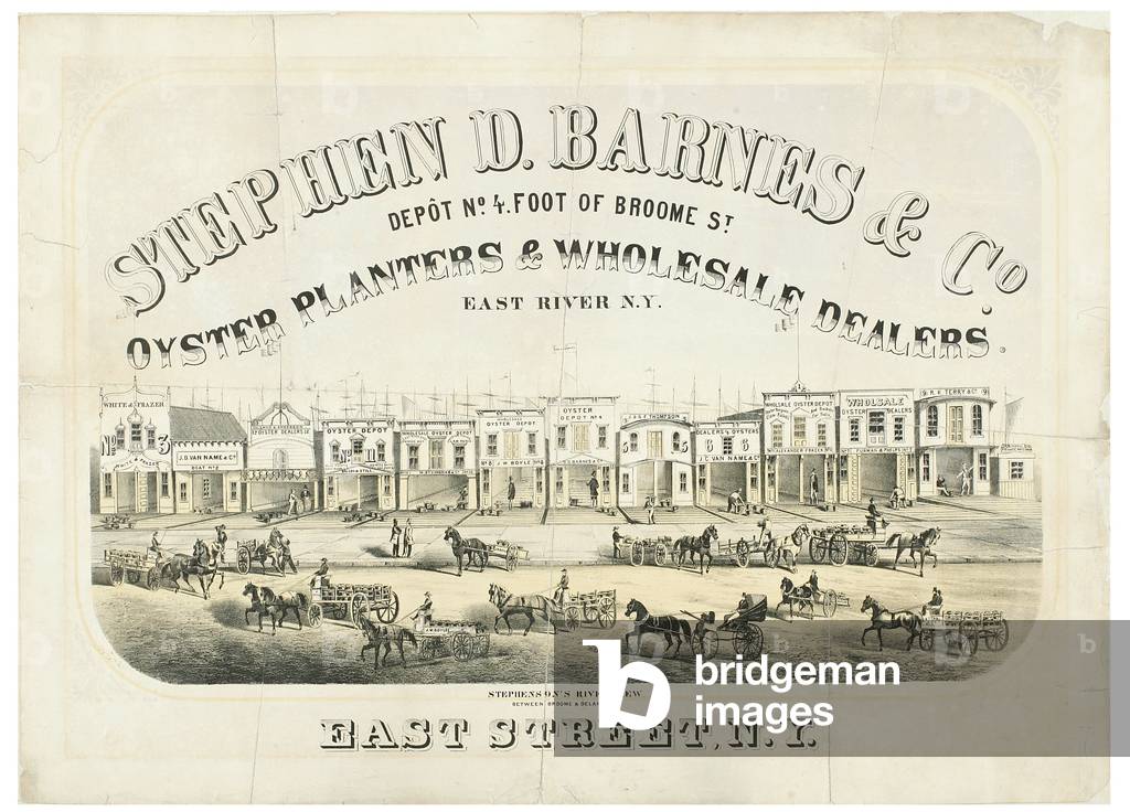 Immagine di Stampa "Stephen D. Barnes & Co. Fioriere di ostriche e rivenditori all'ingrosso" 1801 di American 