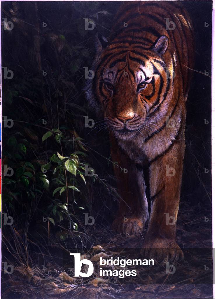 Image of Painting depicting Jungle odyssey 1995 by Jeremy Paul