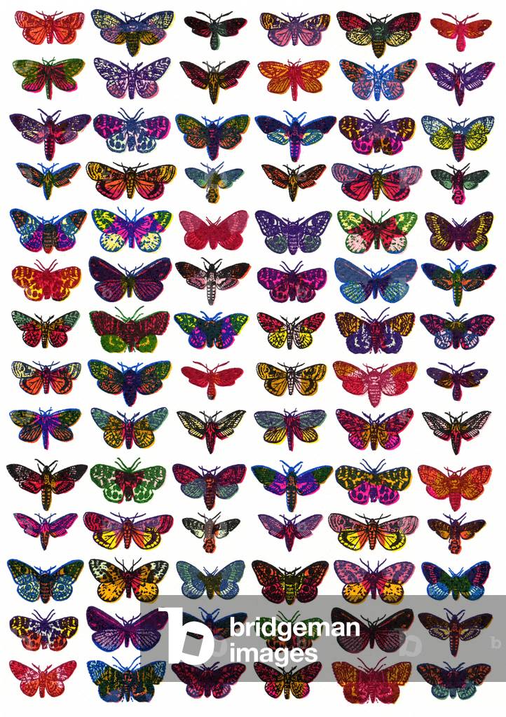Moths, 2009 (serigrafia)