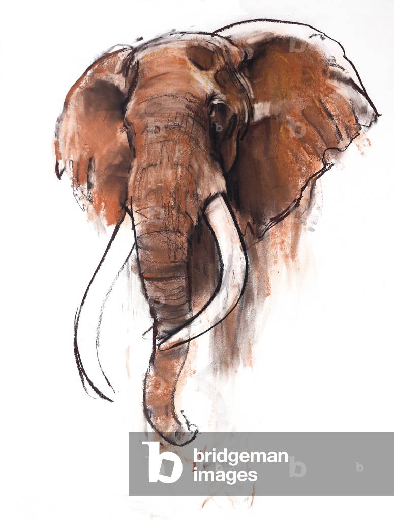 Image of Drawing depicting Craig 2018 by Mark Adlington