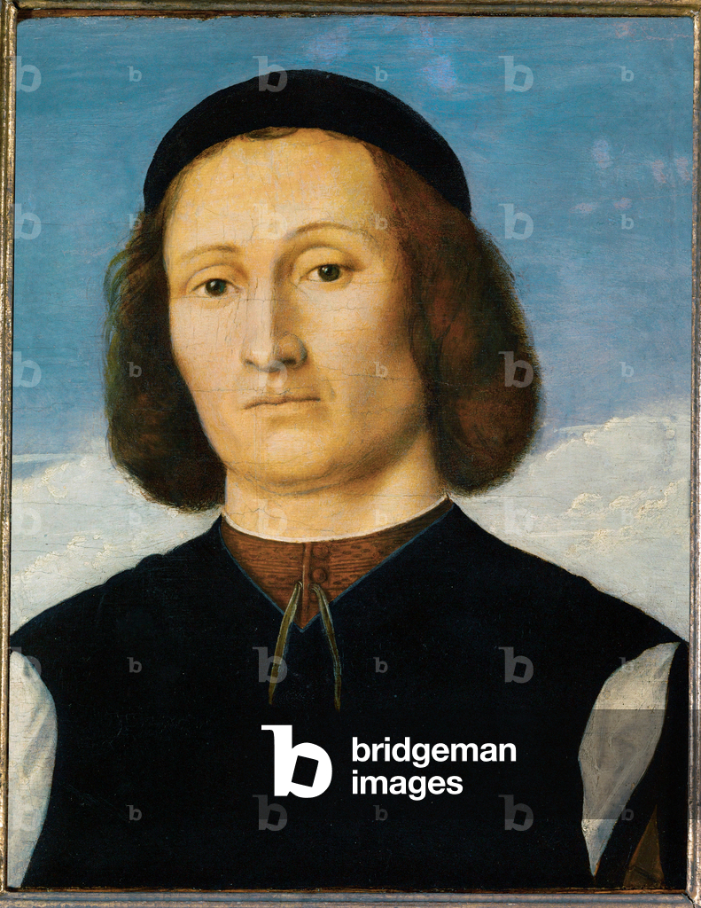Ritratto di giovane uomo con berretto nero, 1500 circa (dipinto su tavola)