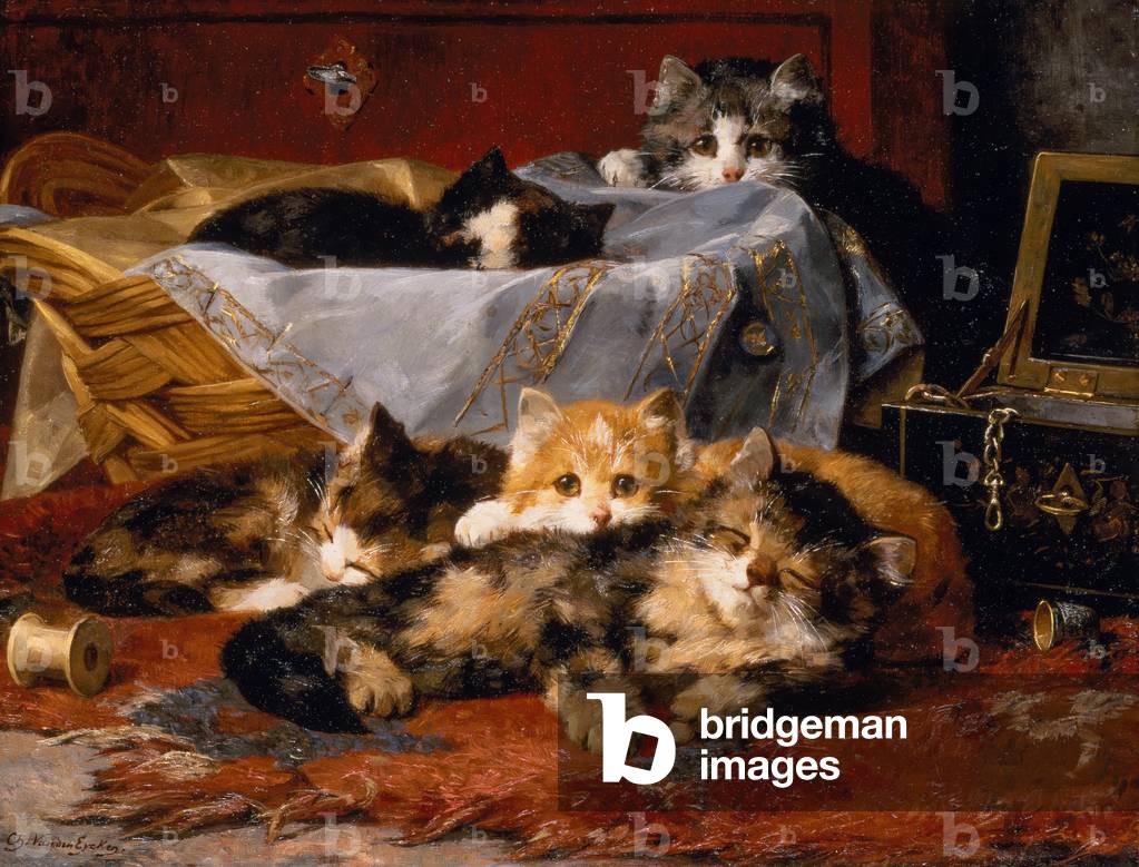Gattini da un cestino da cucito (olio su tela)