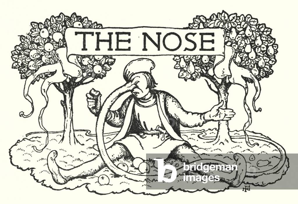 Bild von Druck "Die Nase (litho)" von Nora Fry Lavrin