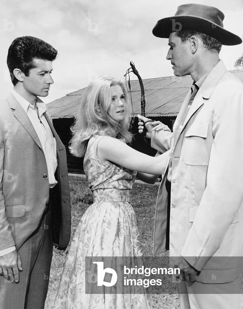 Image of Diamond Head by Guy Green, 1962