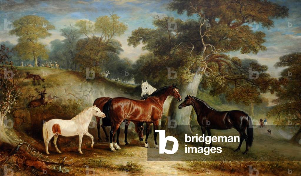 Un gruppo di pony nel parco