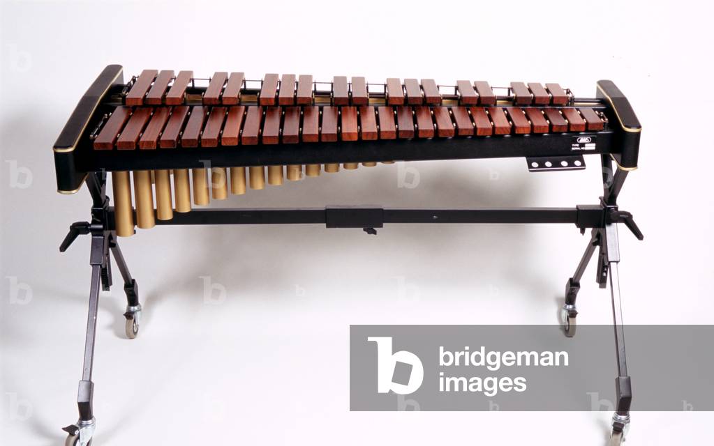 Image of Photography depicting Xylophone 3 Octave by Chris Stock