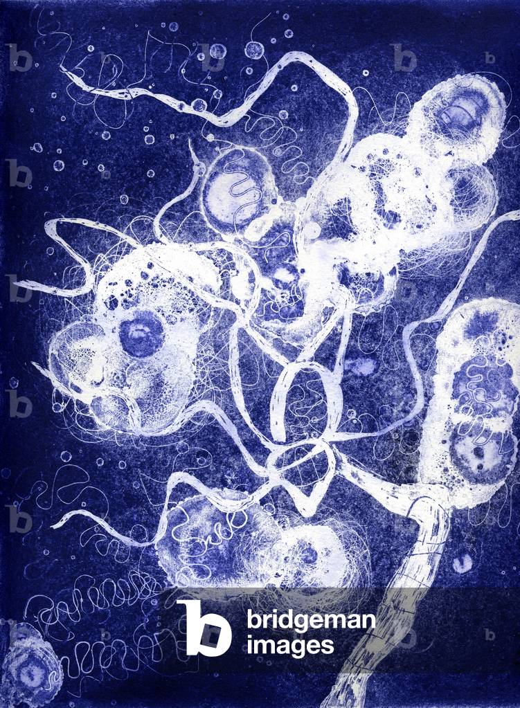 Brainscape 21, 2006 (Radierung und Aquatinta)