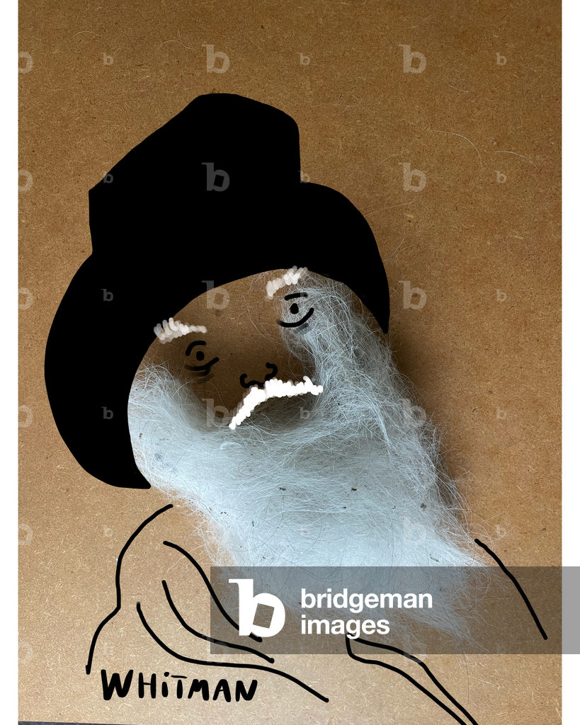 Bild von Collage "Walt Whitman (Collagenzeichnung)" von Evan Sklar