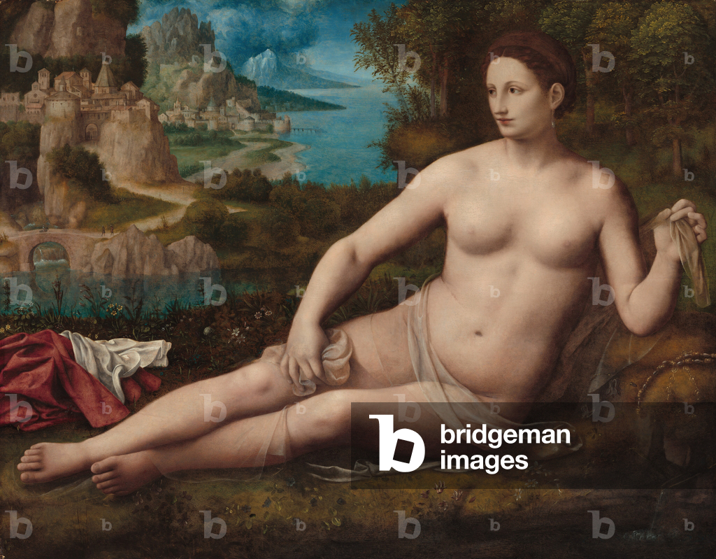 Venus, um 1530 (Öl auf Tafel)