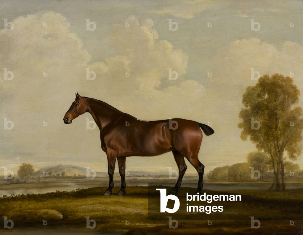 Image de Peinture représentant Georgiana : un cheval 1819 par Thomas Weaver