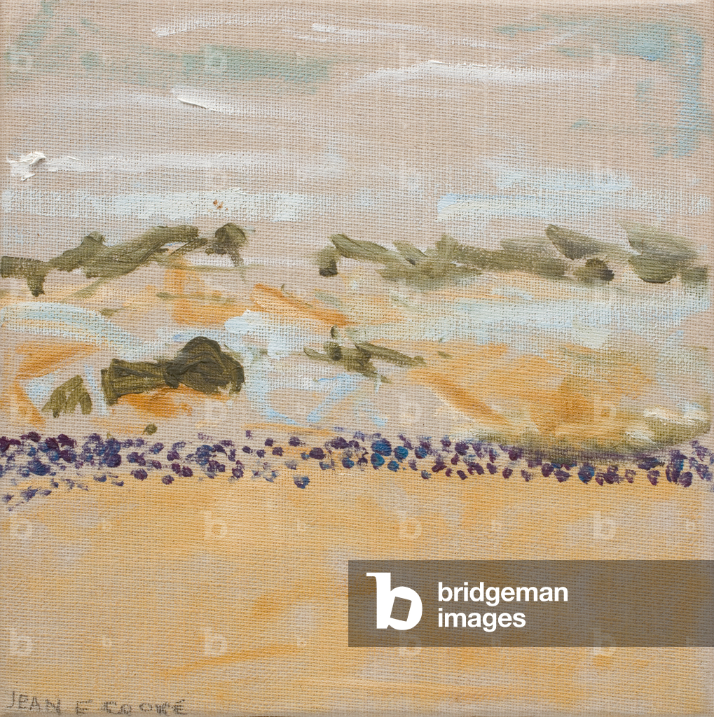 Untitled [Sea Shore], c. 2007 (Oil on linen)