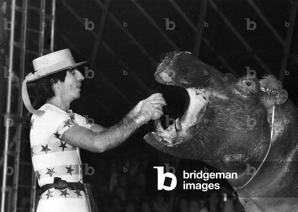 French Actor With An Hippopotamus at The Gala De L'Union Des Artistes, November 23, 1981 (b/w photo)