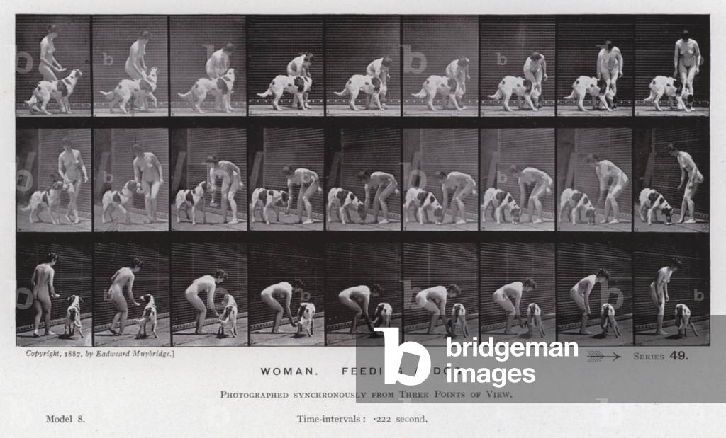 Immagine di Fotografia "La figura umana in movimento: donna" di Eadweard Muybridge