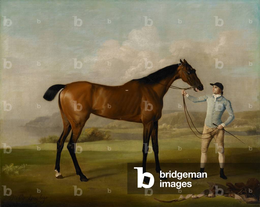 Molly Long Legs, 1762 (Öl auf Leinwand)