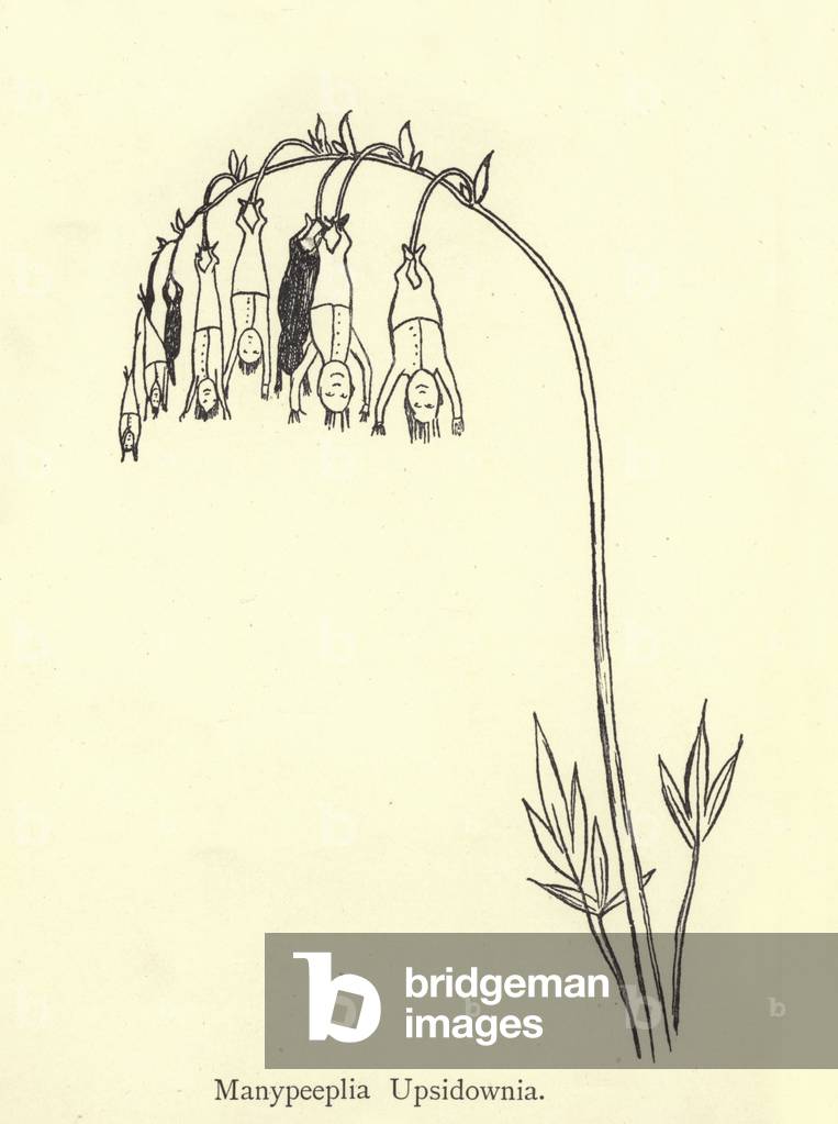 "Manypeeplia Upsidownia (Gravur)" von Edward Lear, b/w
