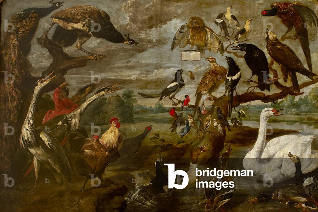 Immagine di Dipinto "Concerto di Uccelli (olio su tela)" di Frans Snyders or Snijders