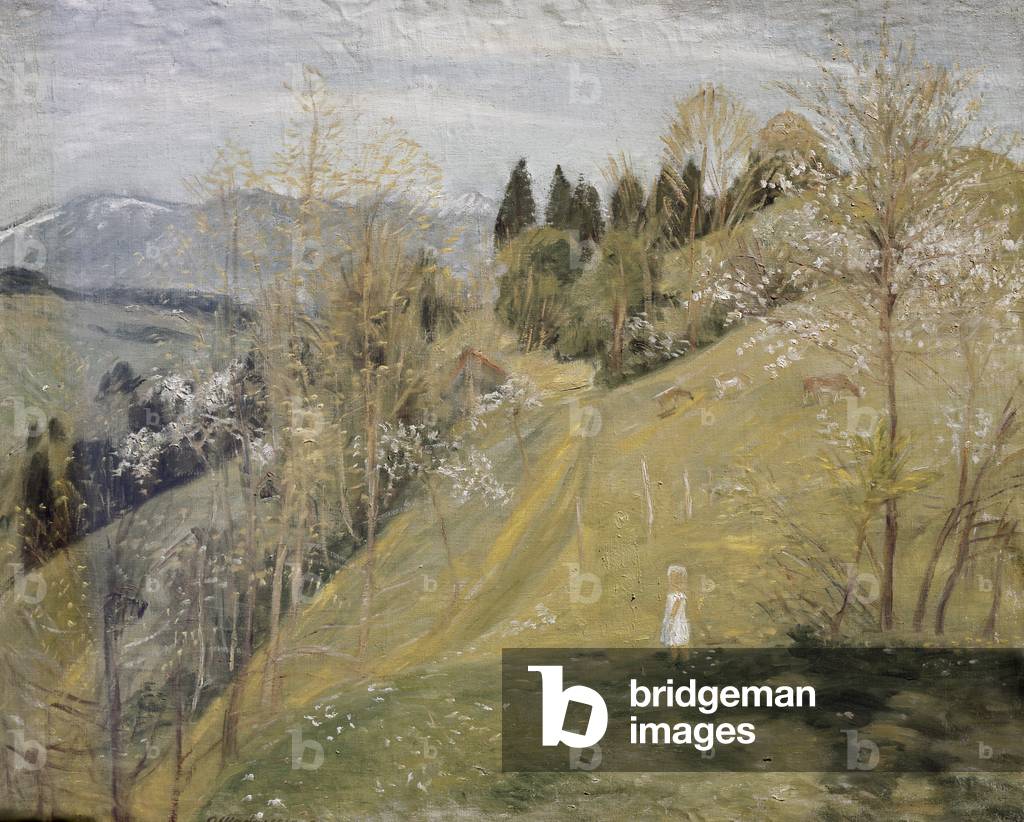 "primavera in Antartico montagne di Otto Modersohn" di Otto Modersohn