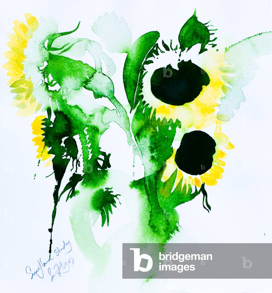 Étude sur le tournesol, 2005 (aquarelle)