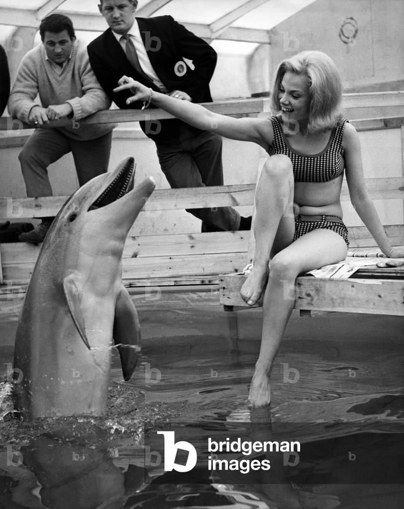 Immagine di Fotografia "Jill Carson" 1963 di Unknown photographer, b/w