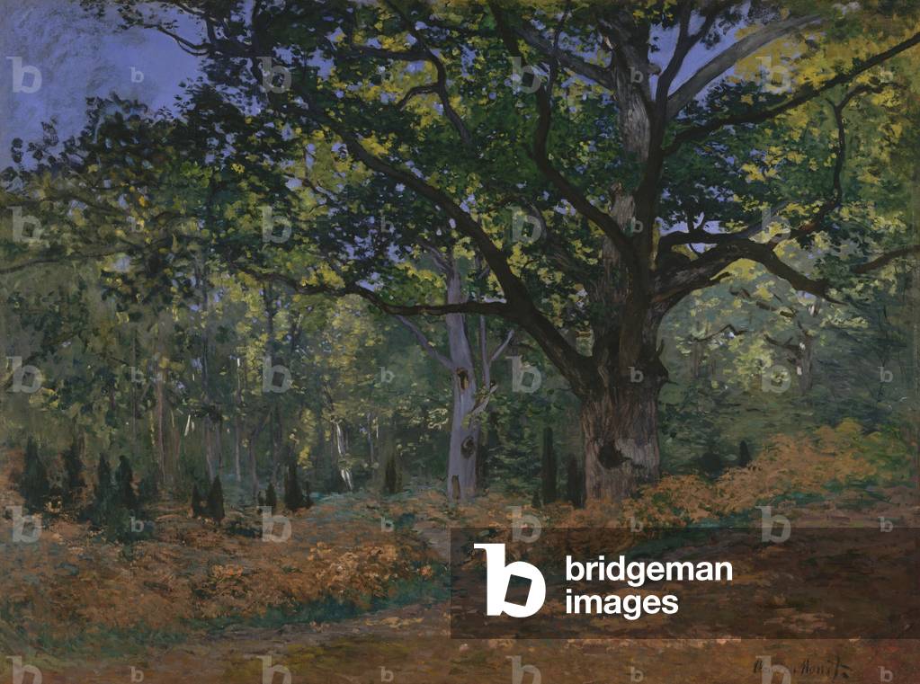 Bild von Gemälde "Die Bodmer Eiche" 1865 von Claude Monet