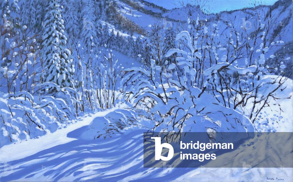 Image de Peinture représentant Neige fraîche 2018 par Andrew Macara, b/w