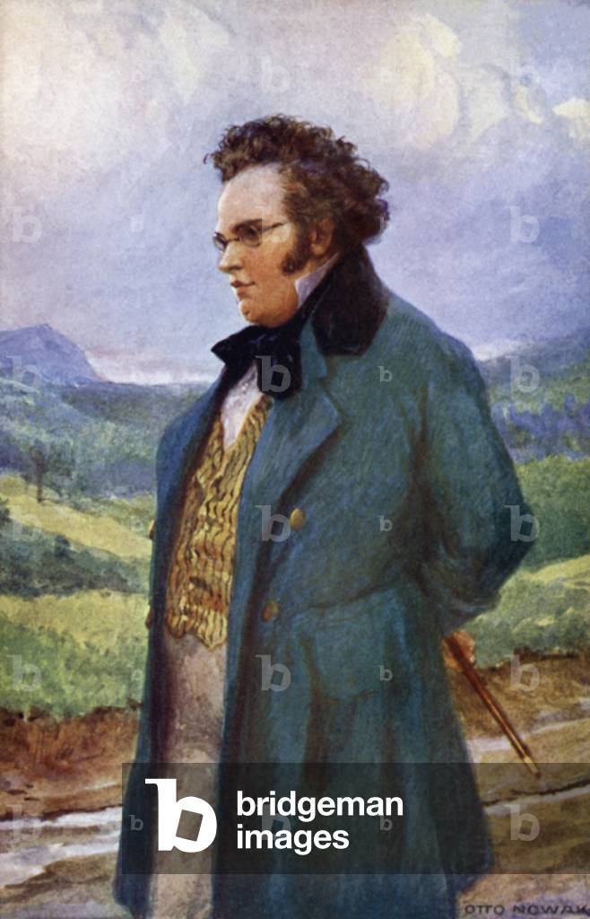 Franz Schubert (colore lito)