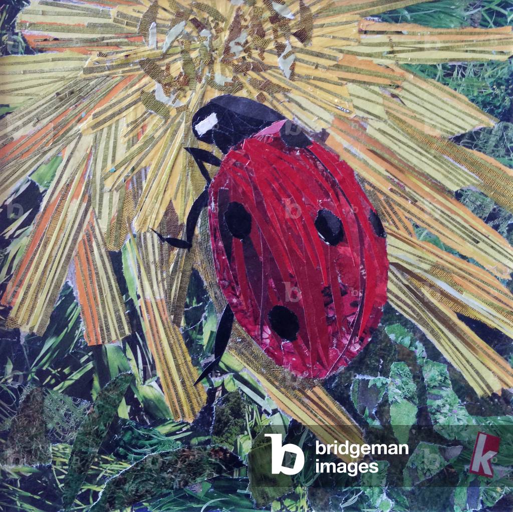 'Rise' Ladybird On Chrysanthemum by Kirstie Adamson