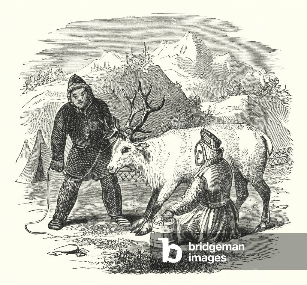 Laplanders (engraving) by English Artist