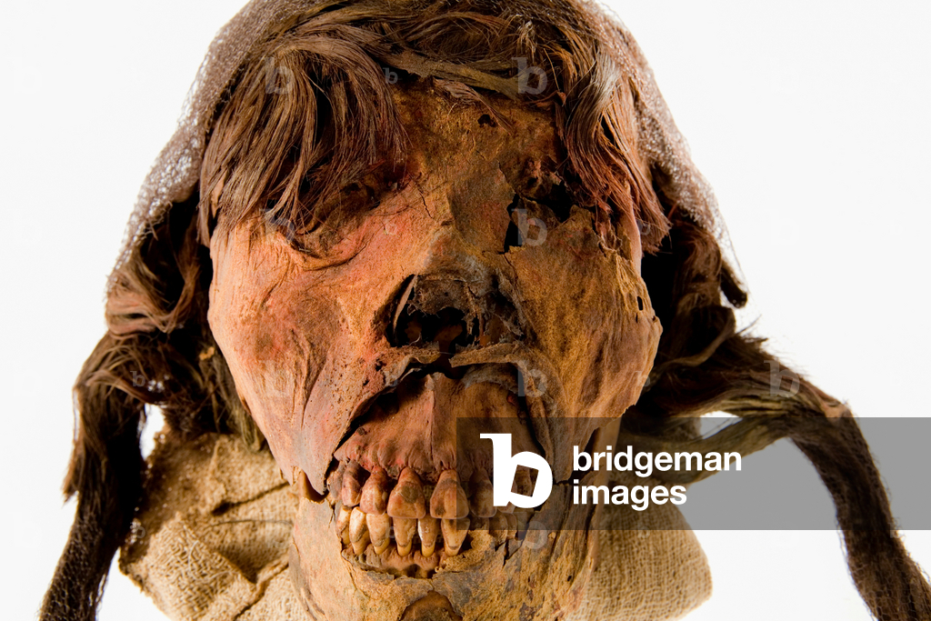 Portraits of the El brujo female mummy‚Äôs head on a white background.