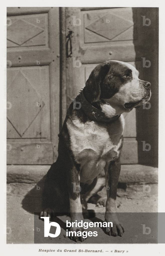Bild von Druck "Hospiz du Grand St-Bernard" von Swiss Photographer