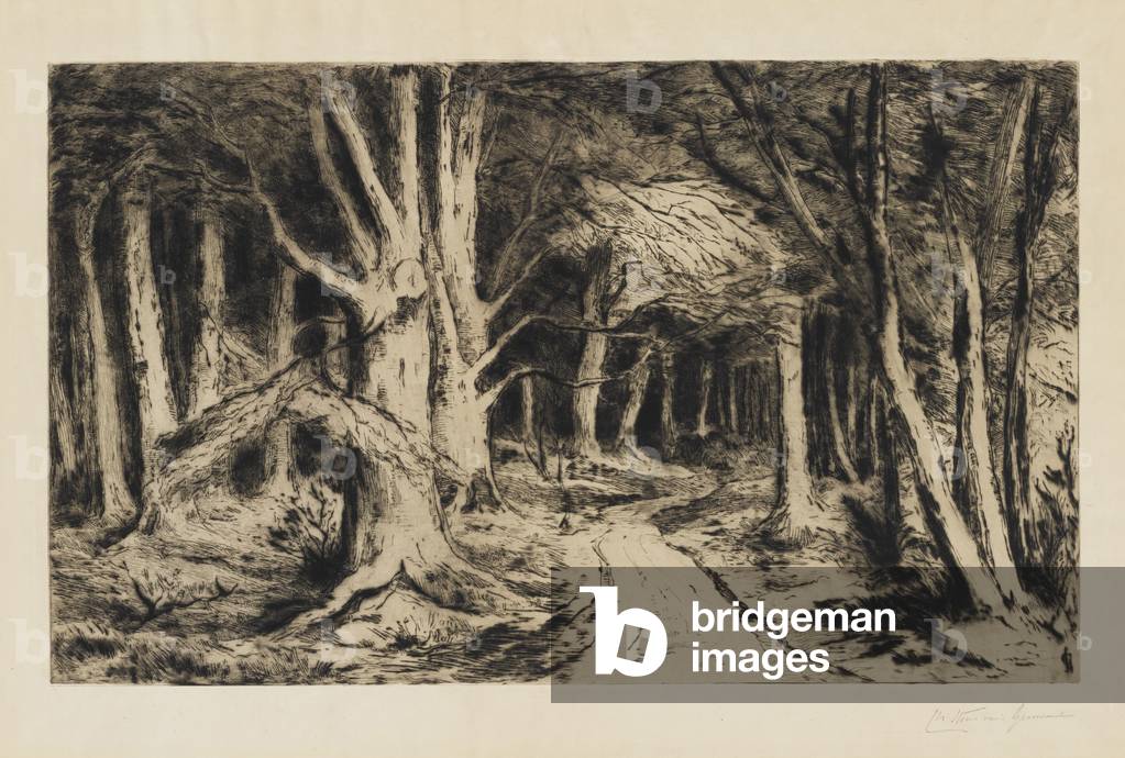 Forest Path, c.1885 (etching, softground etching & drypoint on Japan paper)