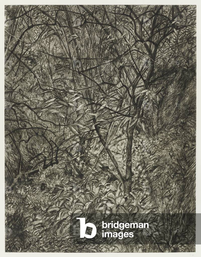 Jardin en hiver, 1997-99 (gravure)