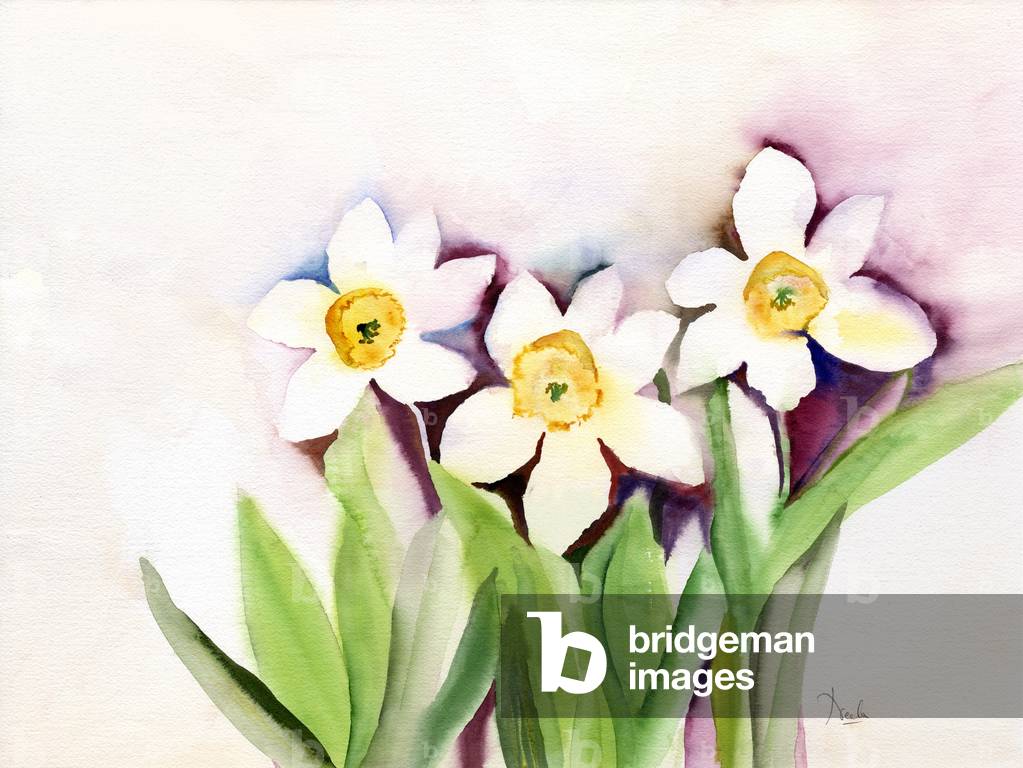 Image of Drawing depicting Three Daffodils, 2007 by Neela Pushparaj