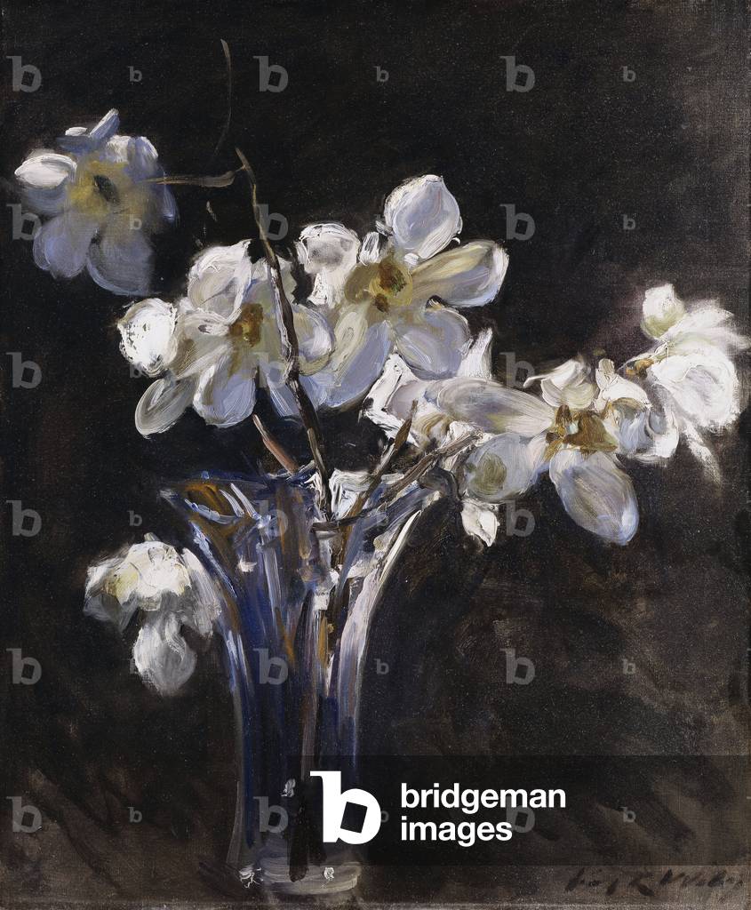 Magnolien in einer Vase, (öl auf leinwand)